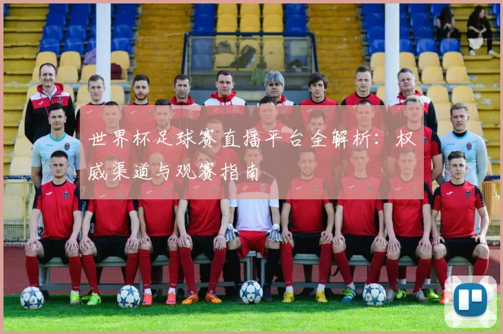 世界杯足球赛直播平台全解析:权威渠道与观赛指南