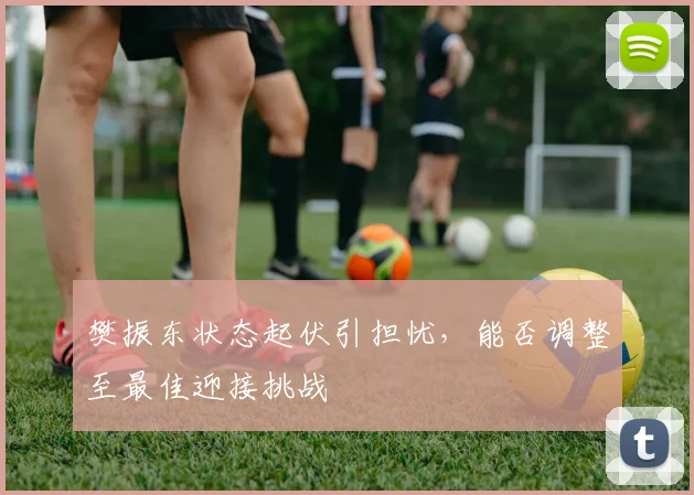 樊振东状态起伏引担忧,能否调整至最佳迎接挑战
