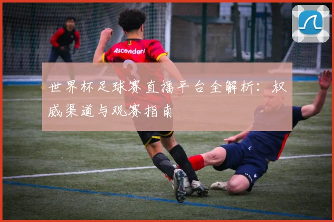 世界杯足球赛直播平台全解析:权威渠道与观赛指南